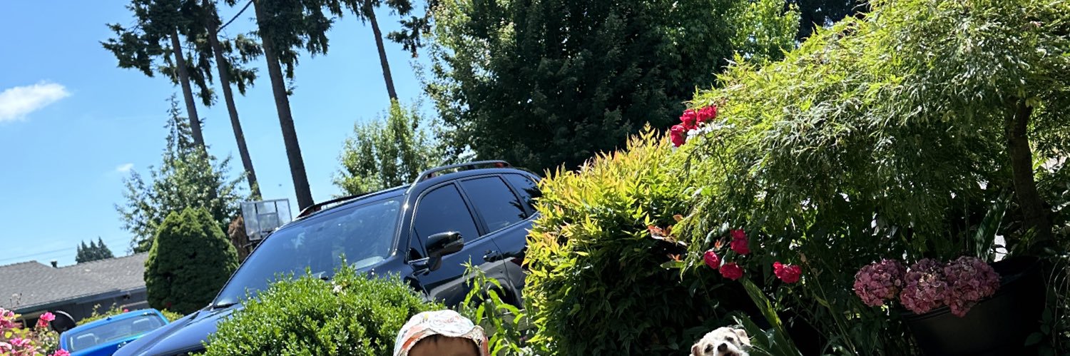 vcdeisy's profile banner image