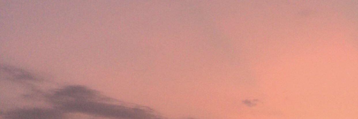 サマー🦙 late reply banner