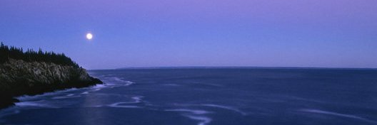 RomanZoot's profile banner image
