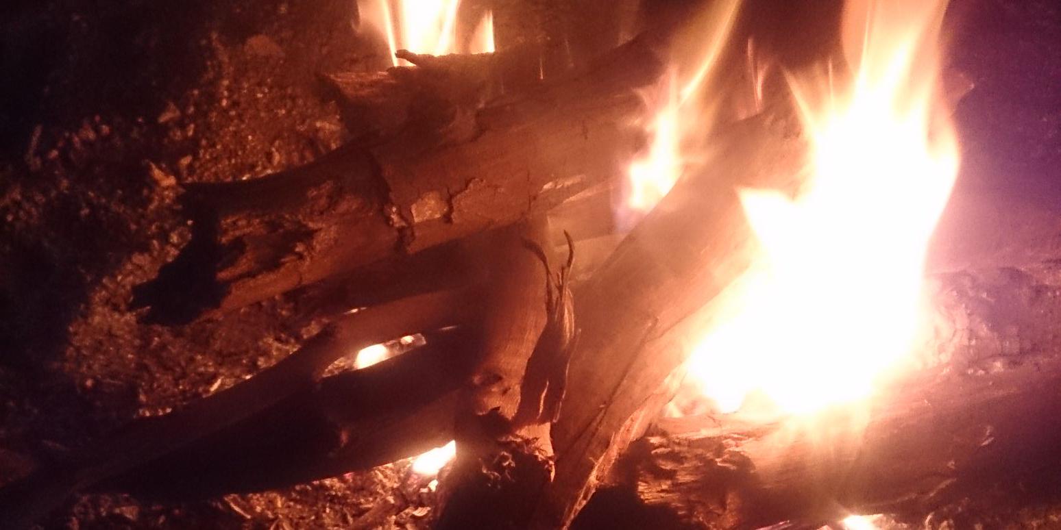 Pranay 🦾🌉 banner