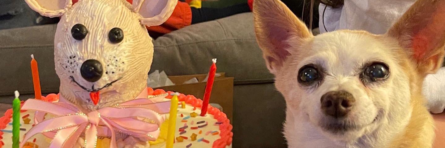 imchescake's profile banner image