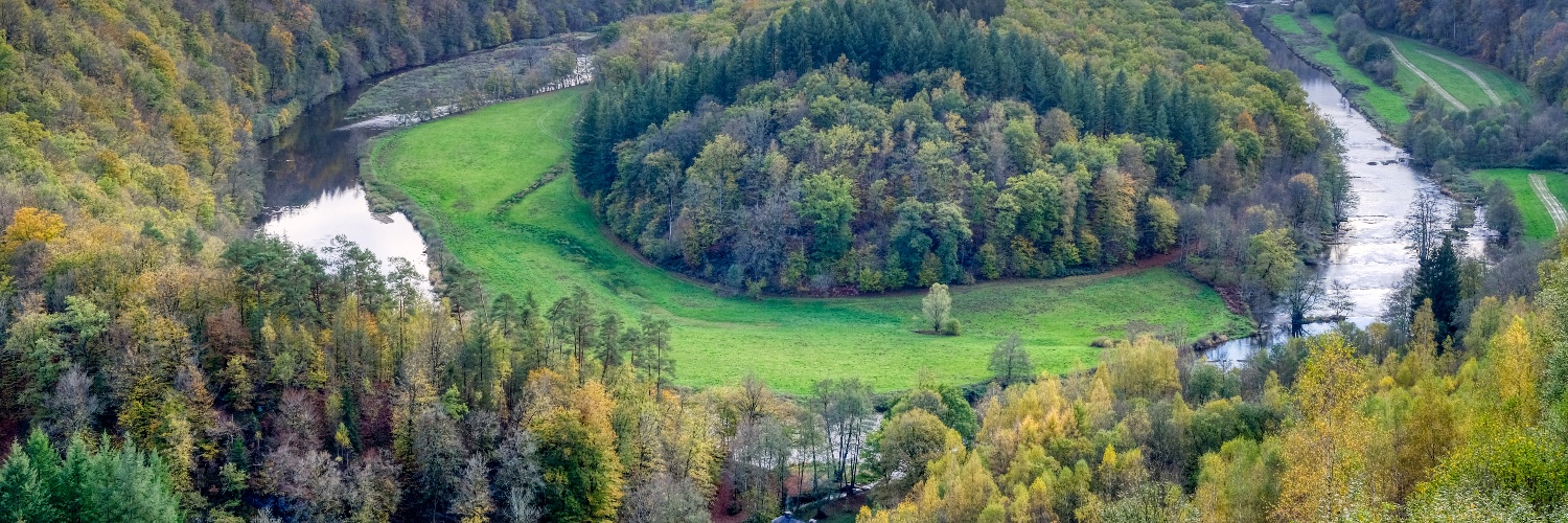 Christiaan JM Vrints banner