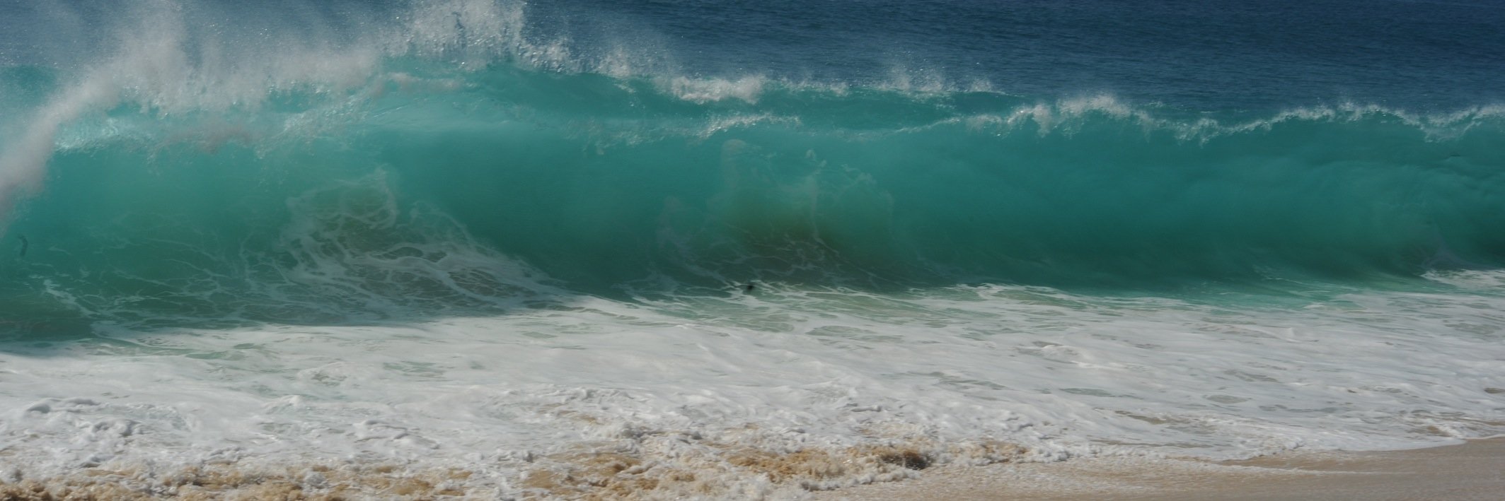Elle Effe banner