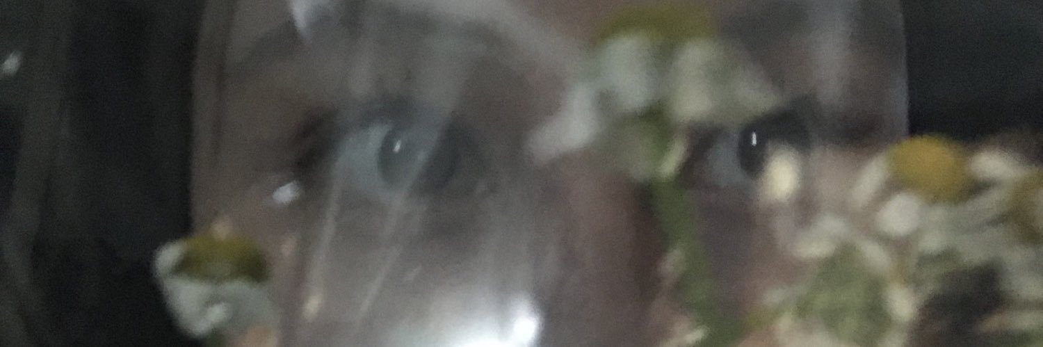 __elli28's profile banner image