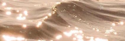 adhivdya's profile banner image
