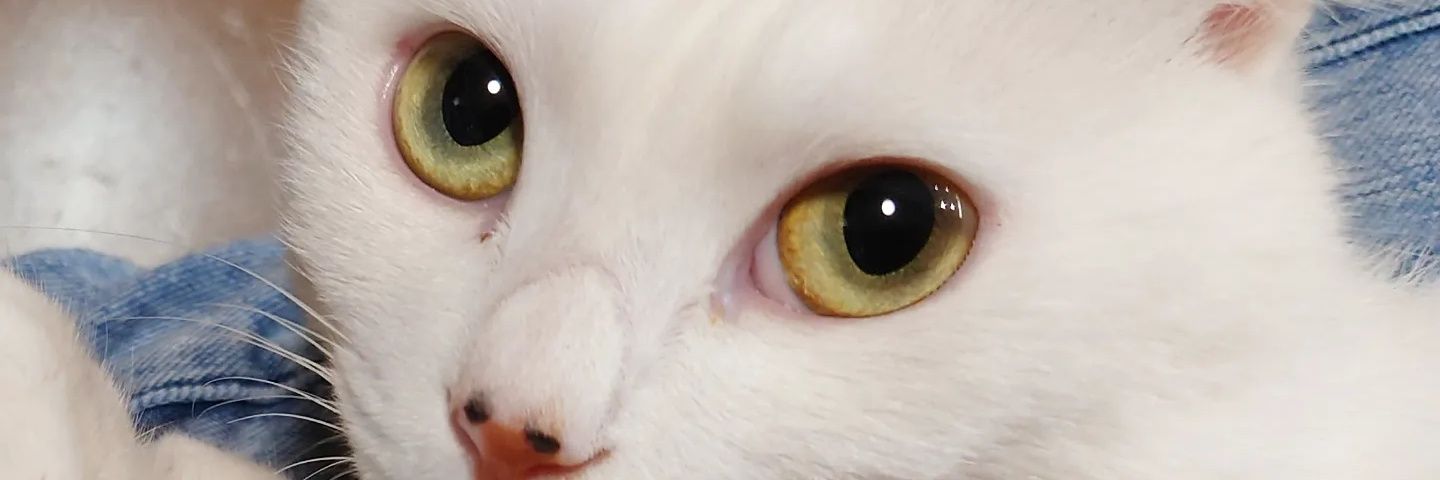 mdl_gr's profile banner image