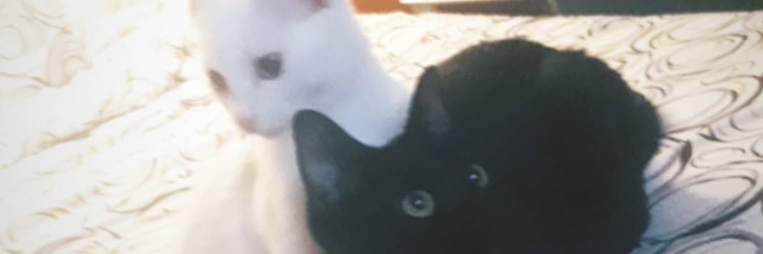ludsonkm's profile banner image