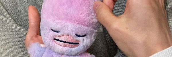 ssngkko Profile Banner