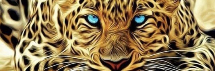 PDarkey's profile banner image