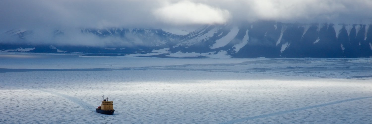porarctic's profile banner image