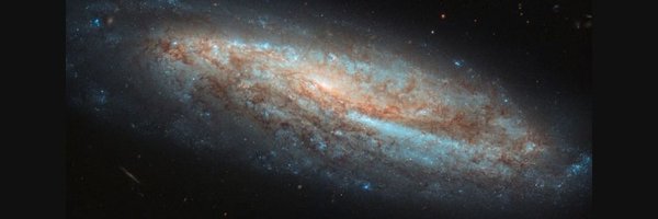 ChalhoubYorgo Profile Banner