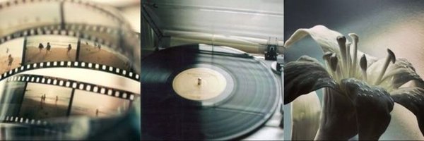 Cixuruohan Profile Banner