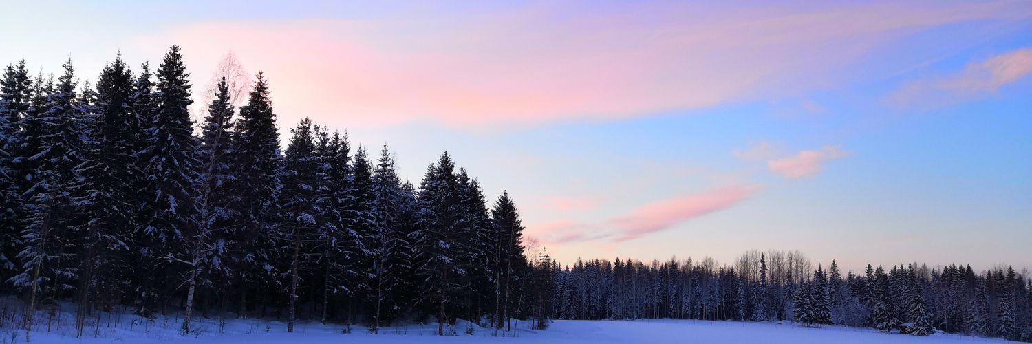 EmHamalainen's profile banner image