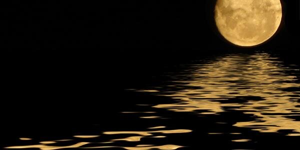 LinaFG8's profile banner image