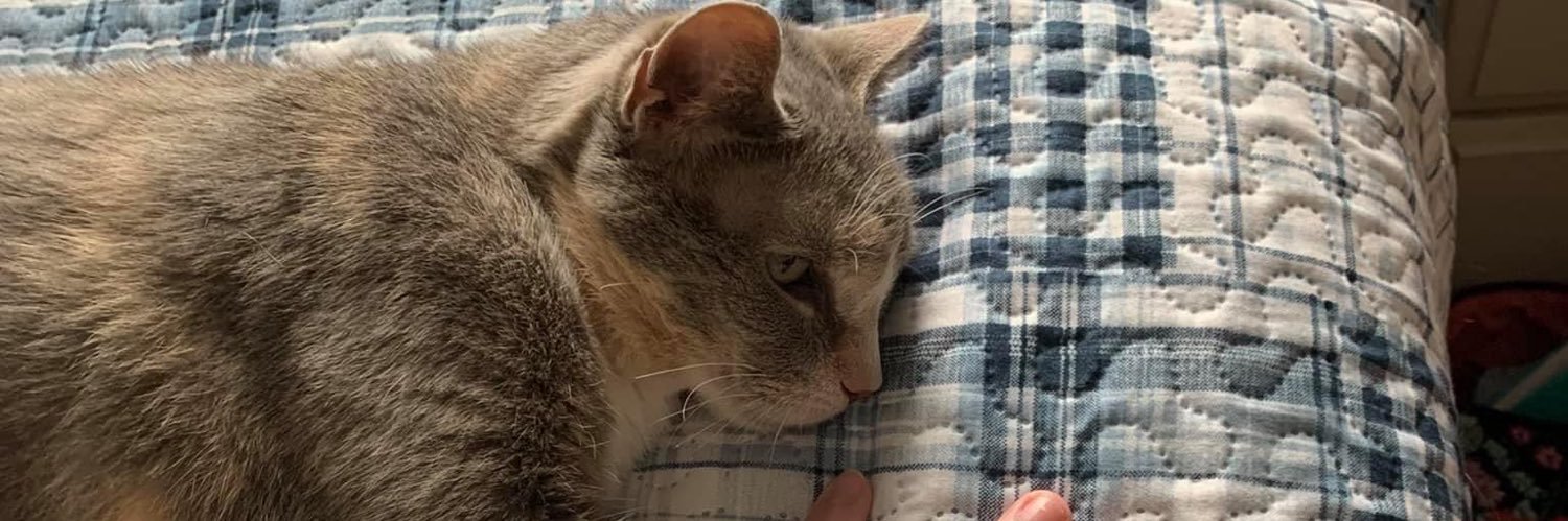 felove13's profile banner image