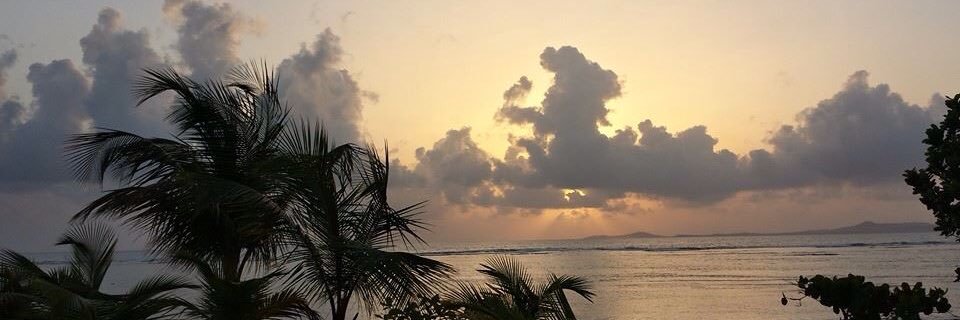Sandramez's profile banner image
