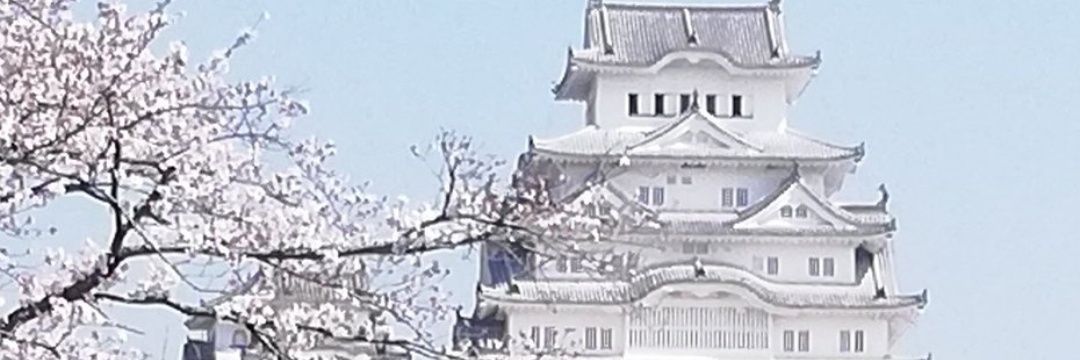 nobuo_0429's profile banner image