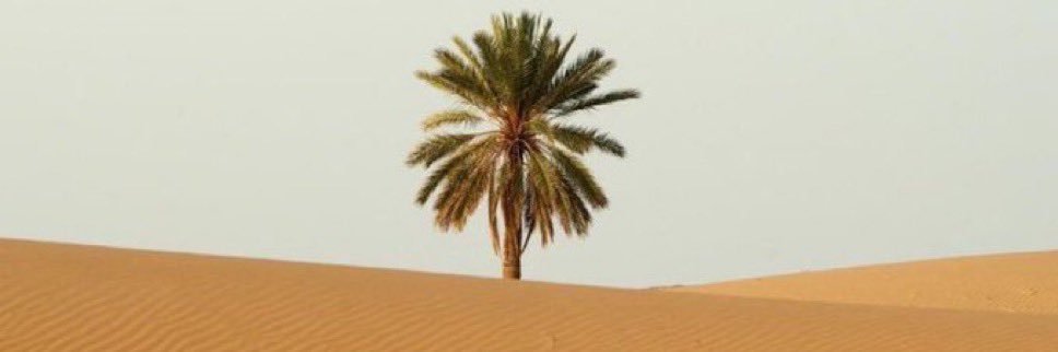 أبلة ظاظا banner