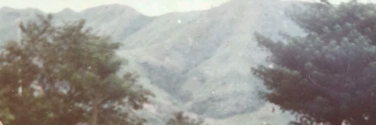 mutiarst's profile banner image