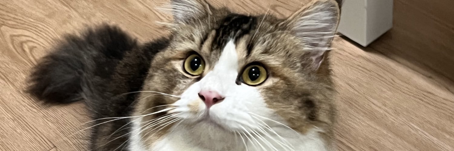 nneadyy's profile banner image