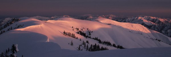 532shg Profile Banner