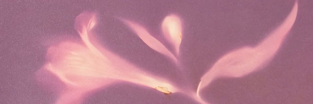 🌙 𝑹𝒆 ♡̷𓈒˖ 𝑽𝒆 ♡̶ יִ ☁️🎀 banner