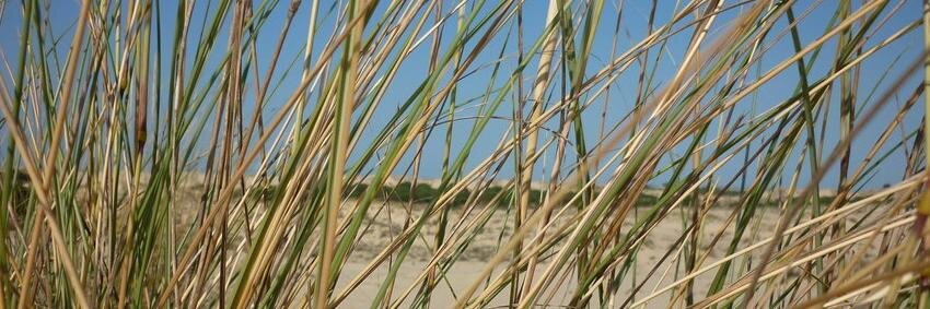 euskadiz's profile banner image
