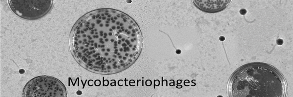 urmibajpai Profile Banner