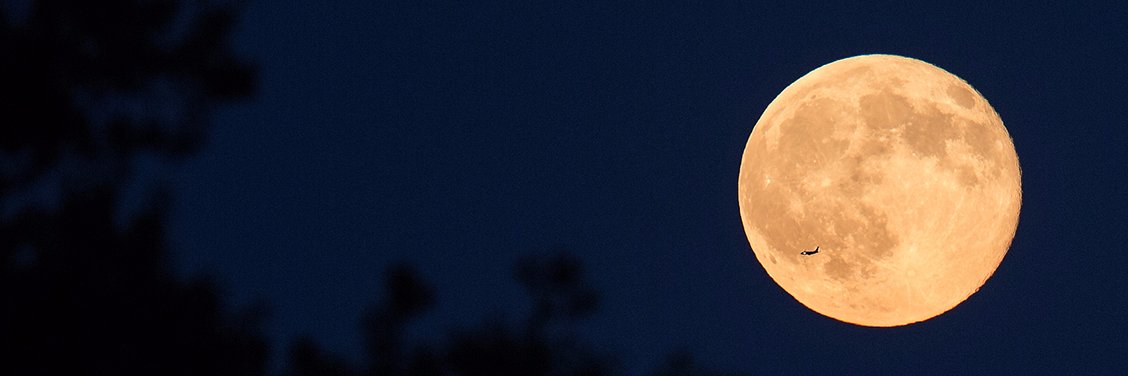 Sarahdelamoon's profile banner image