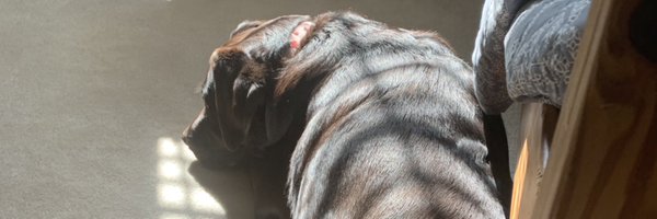 luke_h618 Profile Banner