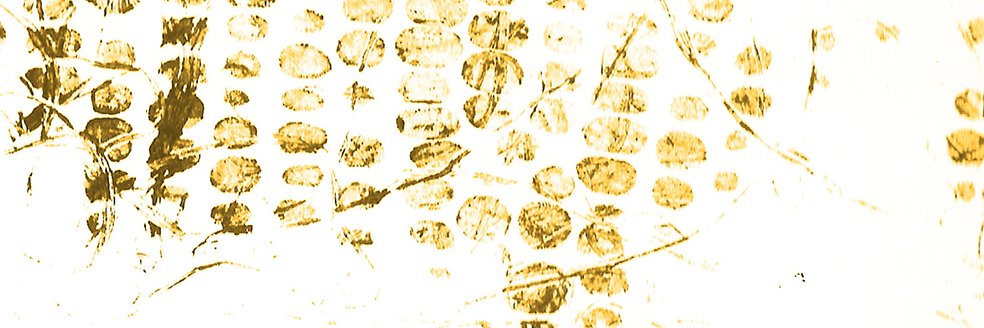 HammerOnPress's profile banner image
