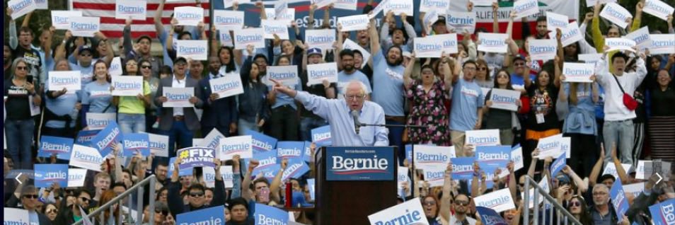 #WomenForBernie 🥥 🌴 banner