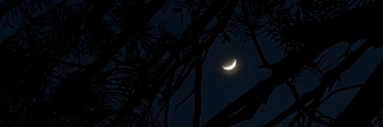 _JoselinC_'s profile banner image