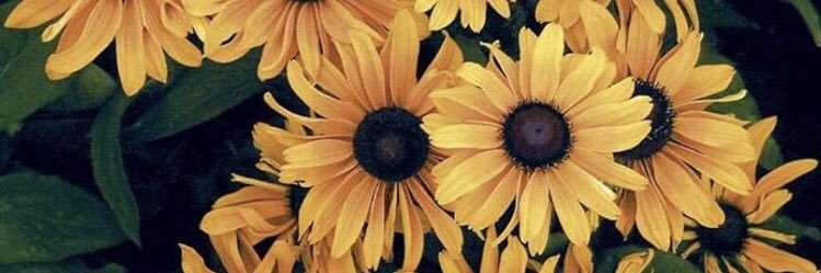 zatylee_'s profile banner image