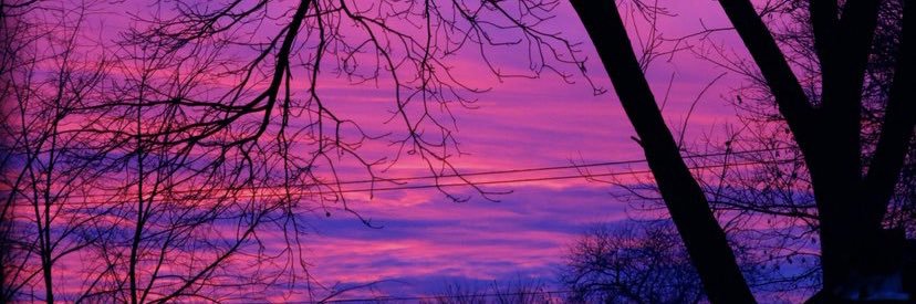 mollyysullivan7's profile banner image