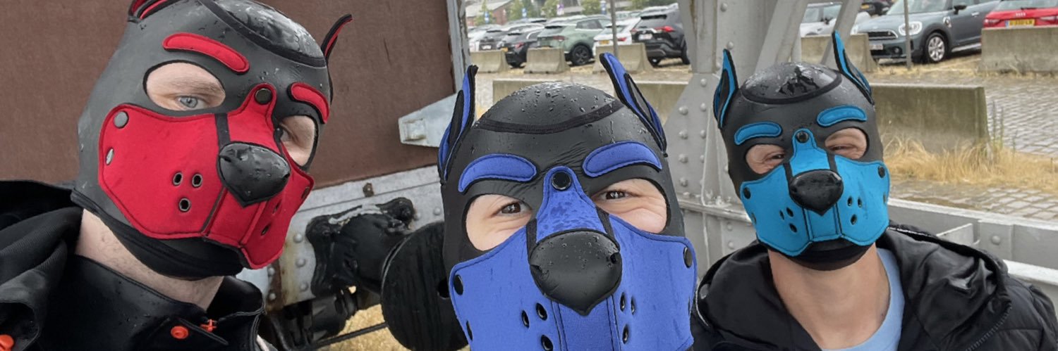 Pup_Shadow's profile banner image