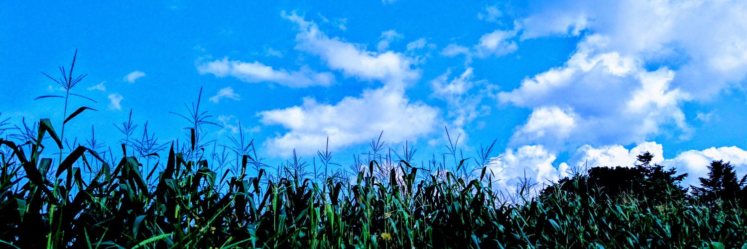 マミーチャン banner