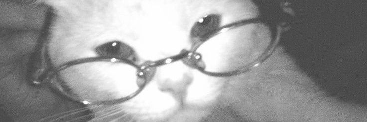 rxsssas's profile banner image