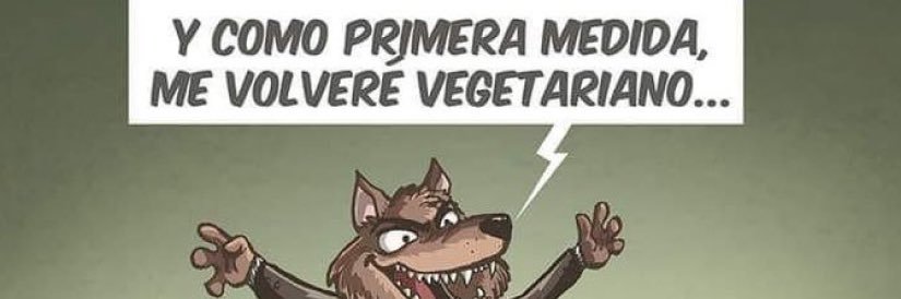 INDIGNADA banner
