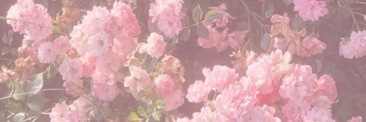 🍏`𝙹𝚞𝚕𝚢; 🇵🇸 KAZUI MILGRAM AGORA banner