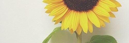 akimoto504's profile banner image