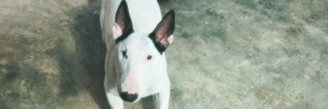 marrrttiheredia's profile banner image