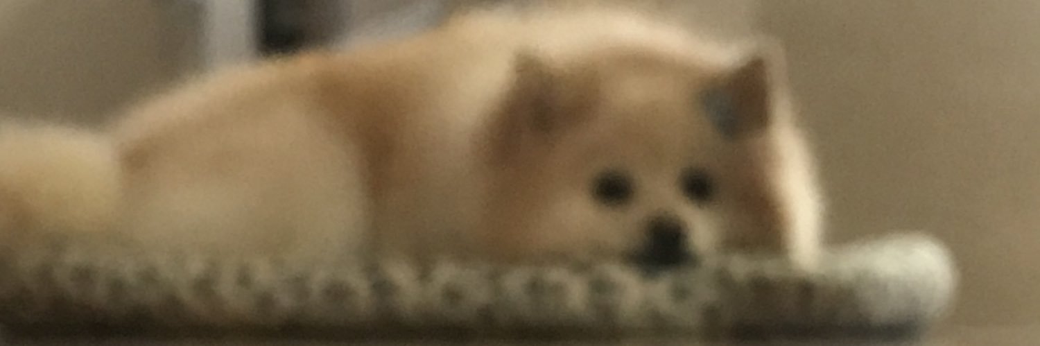 bashislope's profile banner image