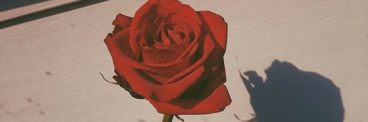 snapchtt's profile banner image