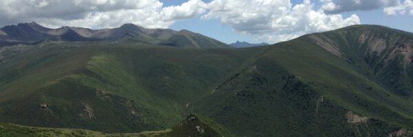 peterljq Profile Banner