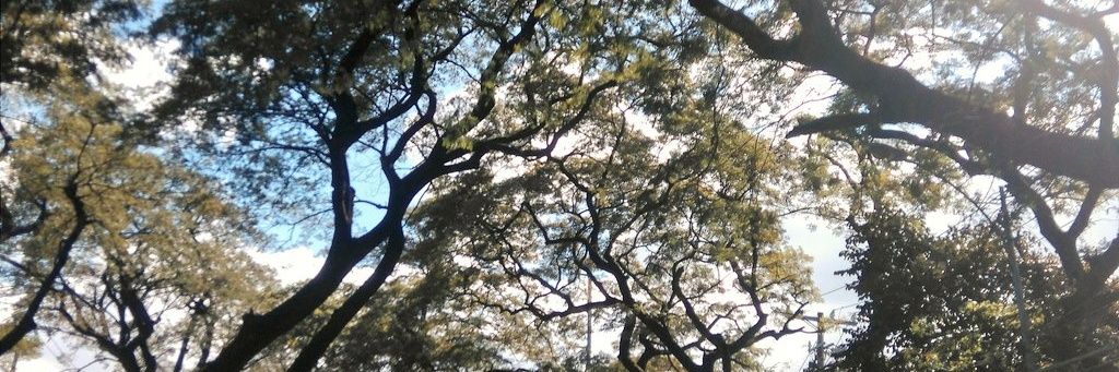 RoxTanFranco's profile banner image