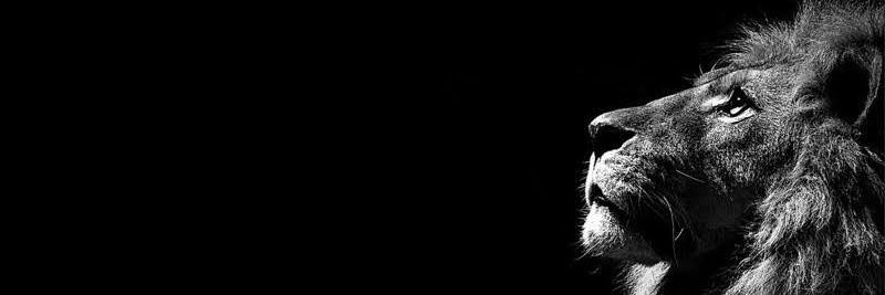 natrientsss's profile banner image