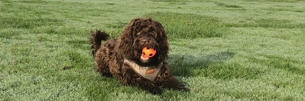 jasminem250 Profile Banner