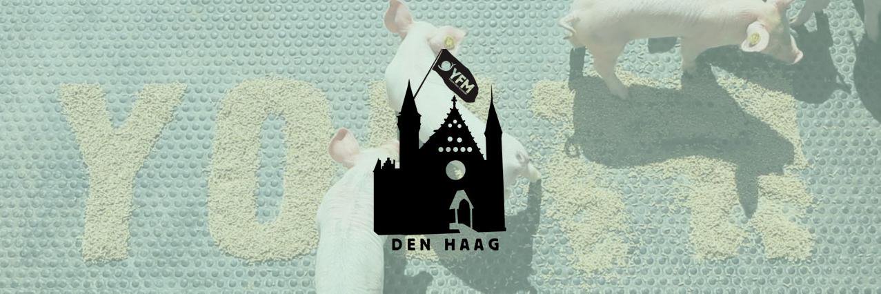 YFM Den Haag banner