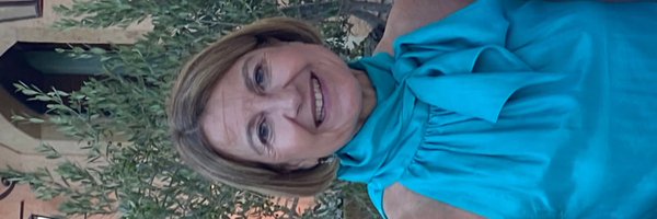 AEstradaBertran Profile Banner